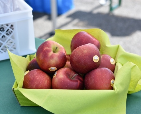 20220518_FIT_ON_TOUR (3)