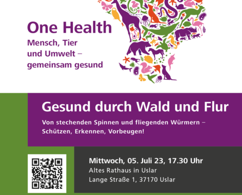 Plakat zur Veranstaltungsreihe One Health mit dem Vortrag von Stephan Siegert zum Thema "Gesund durch Wald und Flur: Von stechenden Spinnen und fliegenden Würmern - Schützen, Erkennen, Vorbeugen"