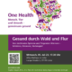 Plakat zur Veranstaltungsreihe One Health mit dem Vortrag von Stephan Siegert zum Thema "Gesund durch Wald und Flur: Von stechenden Spinnen und fliegenden Würmern - Schützen, Erkennen, Vorbeugen"